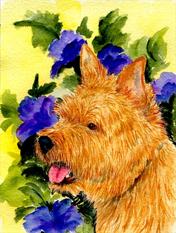 Norwich Terrier Canvas Flag - House Size- 28 x 40 in.