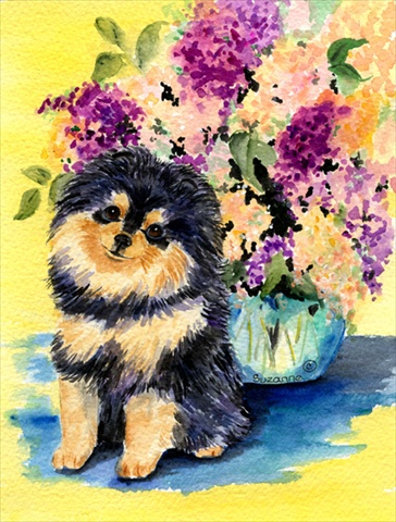 Pomeranian Flag - Garden Size- 11 x 15 in.