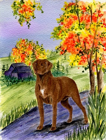 Chesapeake Bay Retriever Flag - Garden Size, 11 x 15 in.