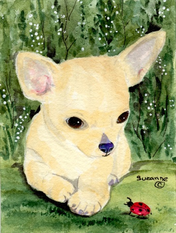 Chihuahua Flag - Garden Size, 11 x 15 in.