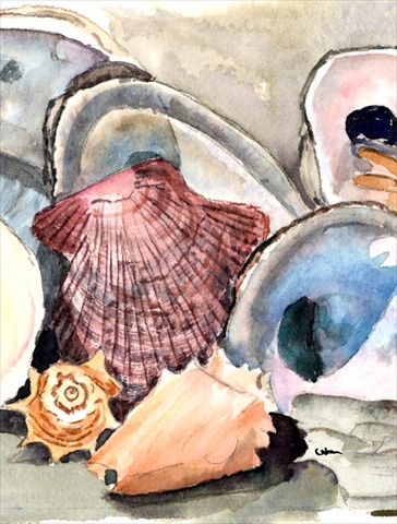 Sea Shells Flag - Garden Size, 11 x 15 in.