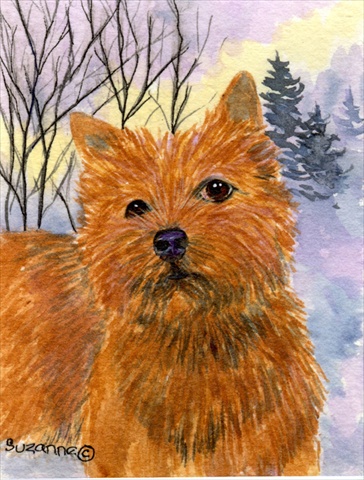 Norwich Terrier Flag - Garden Size, 11 x 15 in.