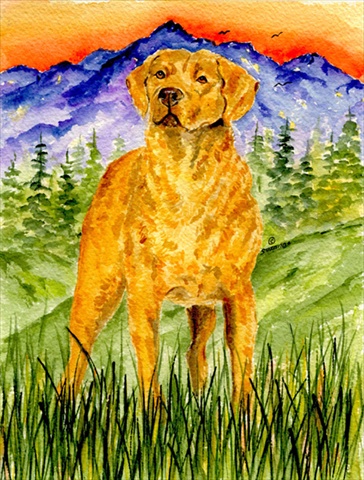 Chesapeake Bay Retriever Canvas Flag - House Size- 28 x 40 in.