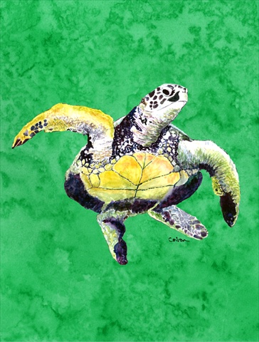 Turtle Dancing Canvas Flag - House Size- 28 x 40 in.