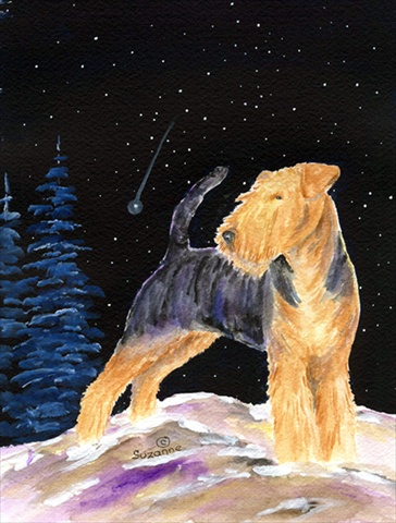 Starry Night Welsh Terrier Canvas Flag - House Size, 28 x 40 in.