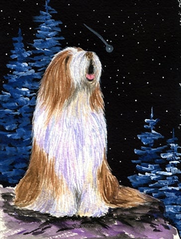 Starry Night Bearded Collie Canvas Flag - House Size- 28 x 40 in.