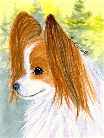 Papillon Canvas Flag - House Size- 28 x 40 in.