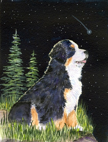 Starry Night Bernese Mountain Dog Canvas Flag - House Size, 28 x 40 in.