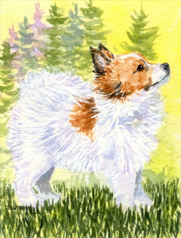 Papillon Canvas Flag - House Size- 28 x 40 in.