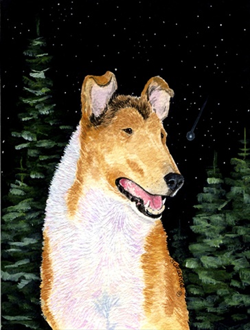 Starry Night Collie Smooth Canvas Flag - House Size- 28 x 40 in.