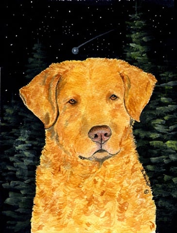 Starry Night Chesapeake Bay Retriever Canvas Flag - House Size- 28 x 40 in.