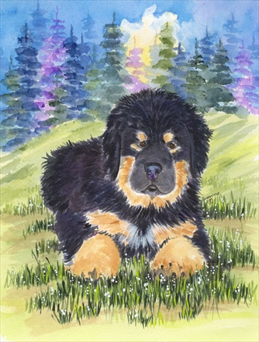 Tibetan Mastiff Canvas Flag - House Size, 28 x 40 in.