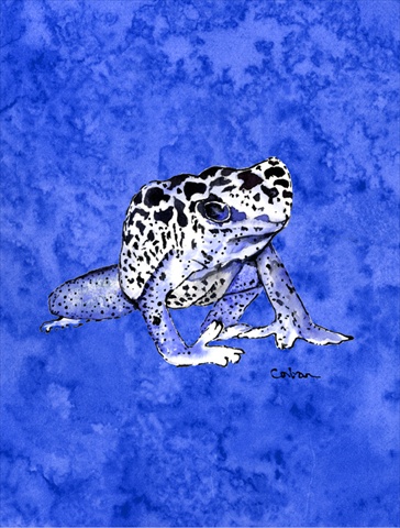 Frog Flag - Garden Size, 11 x 15 in.