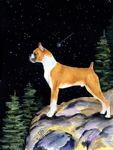 Starry Night Boxer Canvas Flag - House Size- 28 x 40 in.