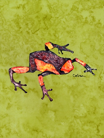 Frog Canvas Flag - House Size- 28 x 40 in.