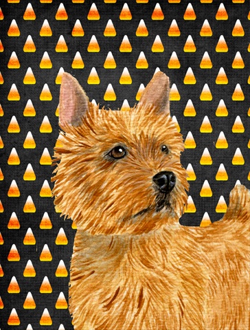 SS4292CHF Norwich Terrier Candy Corn Halloween Portrait Canvas Flag - House Size- 28 x 40 in.