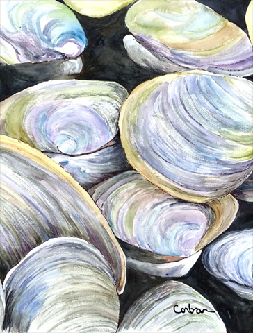 Clam Quahog Flag - Garden Size, 11 x 15 in.