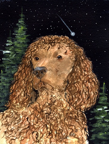 American Water Spaniel Flag - Garden Size, 11 x 15 in.