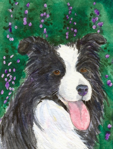 Border Collie Canvas Flag - House Size- 28 x 40 in.