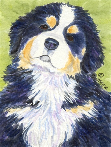 Bernese Mountain Dog Canvas Flag - House Size- 28 x 40 in.