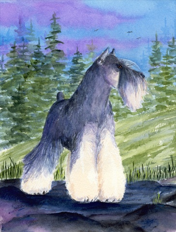 28 x 40 in. Schnauzer House Size Canvas Flag