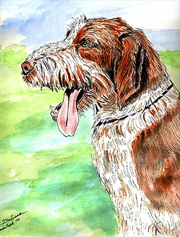 Italiano Spinone House Size Canvas Flag