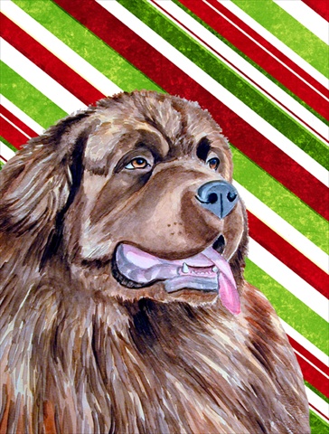 Newfoundland Candy Cane Holiday Christmas House Size Canvas Flag
