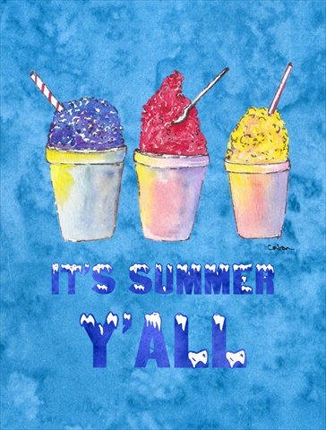 28 x 40 in. Snowballs and Snowcones House Size Canvas Flag