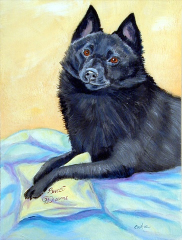 28 x 40 in. Schipperke Sweet Dreams House Size Canvas Flag