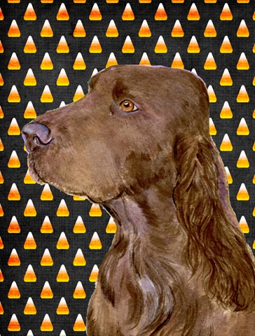 Field Spaniel Candy Corn Halloween Portrait House Size Canvas Flag - 28 x 40 in.