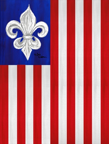 8138CHF 28 x 40 in. USA Fleur de lis Patriotic American House Size Canvas Flag