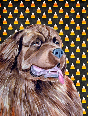 28 x 40 in. Newfoundland Candy Corn Halloween Portrait House Size Canvas Flag