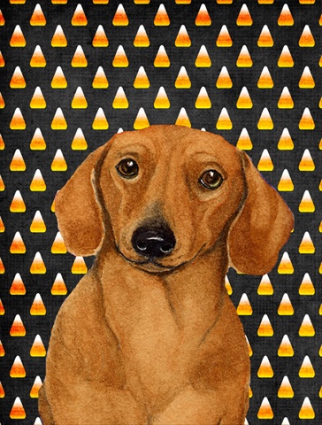 Dachshund Candy Corn Halloween Portrait House Size Canvas Flag