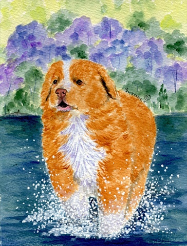 11 x 15 in. Nova Scotia Duck Toller Garden Size Flag