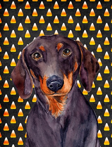 Dachshund Candy Corn Halloween Portrait House Size Canvas Flag