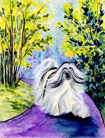 Tibetan Terrier House Size Canvas Flag