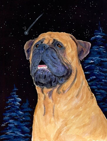 11 x 15 in. Bullmastiff Garden Size Flag