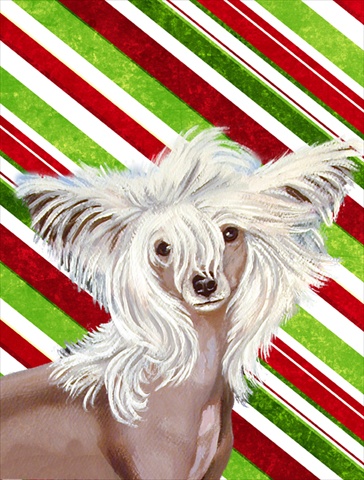 Chinese Crested Candy Cane Holiday Christmas House Size Canvas Flag