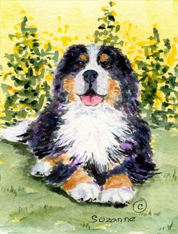28 x 40 in. Bernese Mountain Dog House Size Canvas Flag