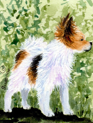 Papillon House Size Canvas Flag