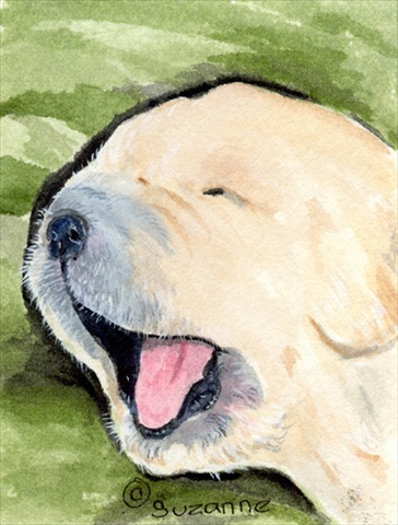 Golden Retriever House Size Canvas Flag