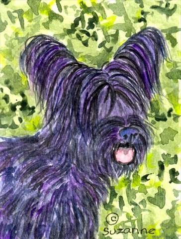 Skye Terrier House Size Canvas Flag 28 x 40 in.