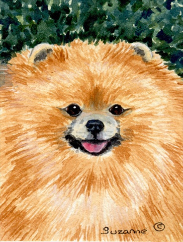 28 x 40 in. Pomeranian House Size Canvas Flag
