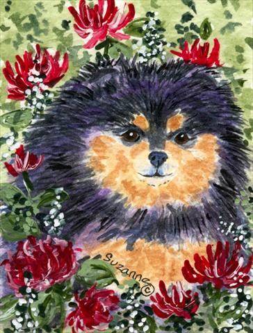 Pomeranian House Size Canvas Flag 28 x 40 in.