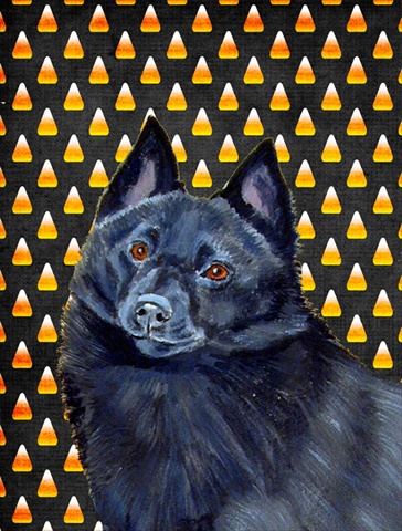 11 x 15 in. Schipperke Candy Corn Halloween Portrait Garden Size Flag