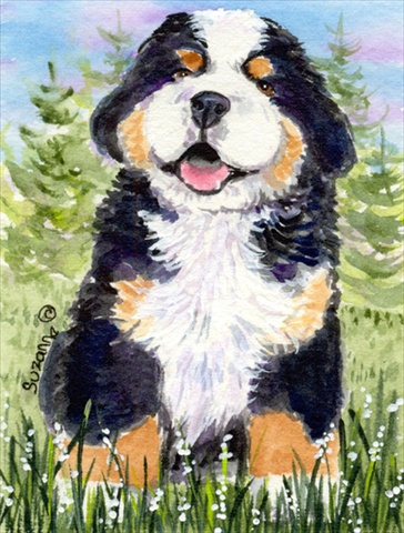 11 x 15 in. Bernese Mountain Dog Garden Size Flag