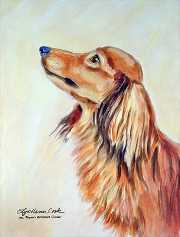 7240GF 11 x 15 in. Dachshund Garden Size Flag