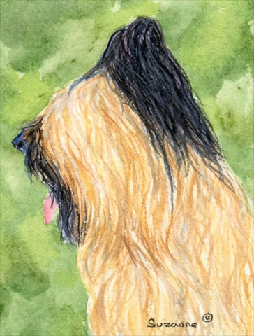 Briard House Size Canvas Flag
