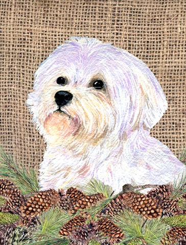 28 x 40 in. Maltese House Size Canvas Flag