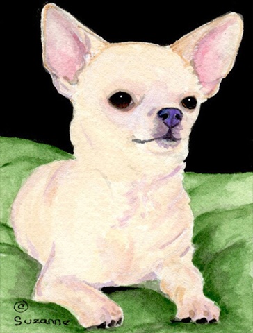 Chihuahua House Size Canvas Flag